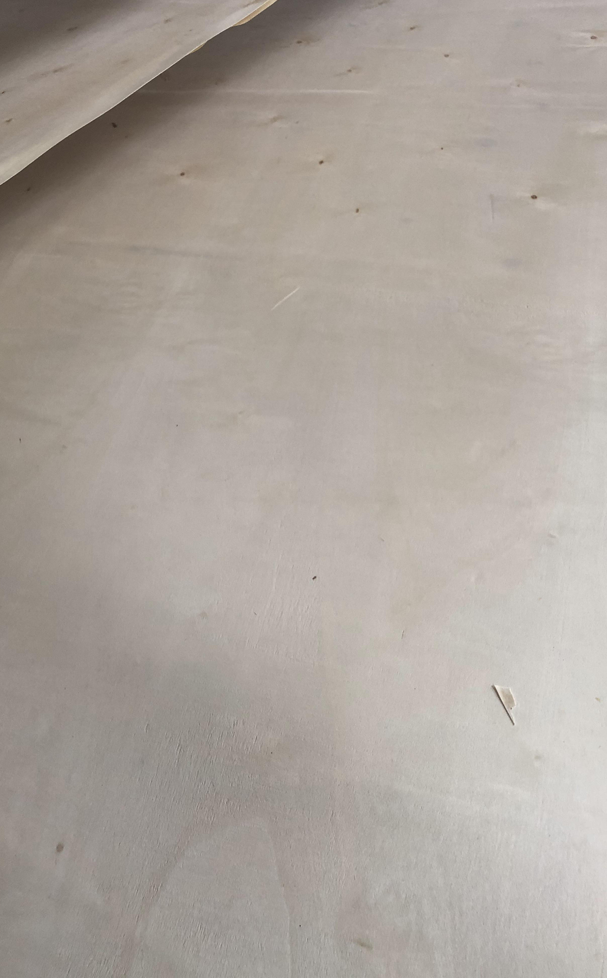 一次成型包装板