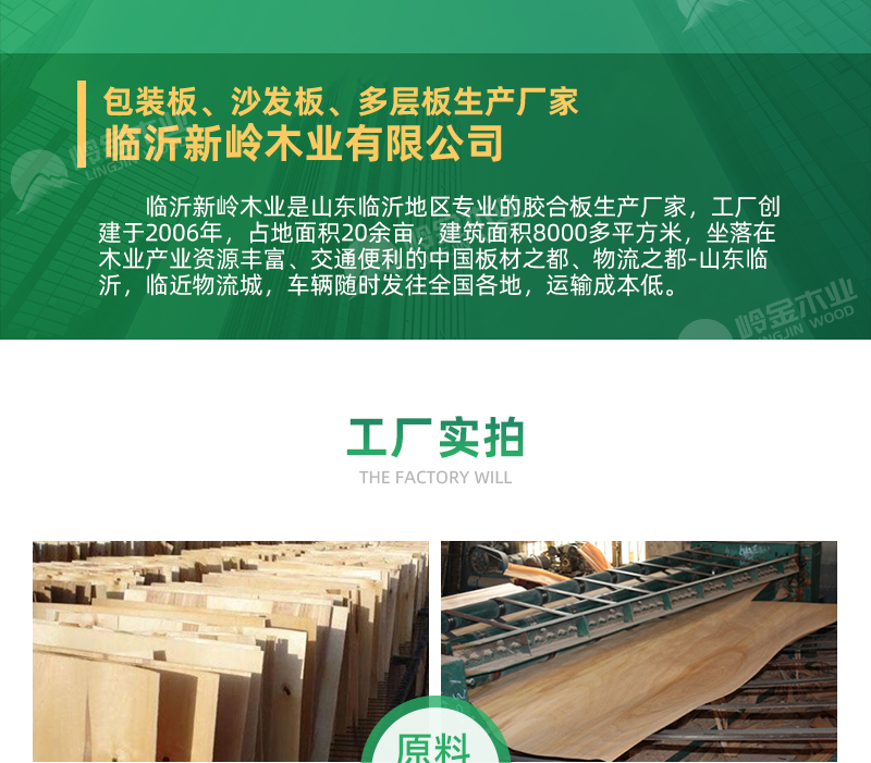 杨木胶合板