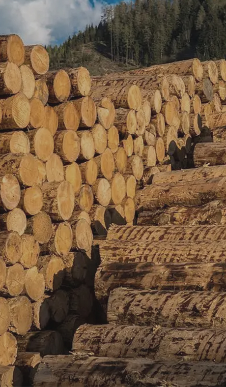 自主生产